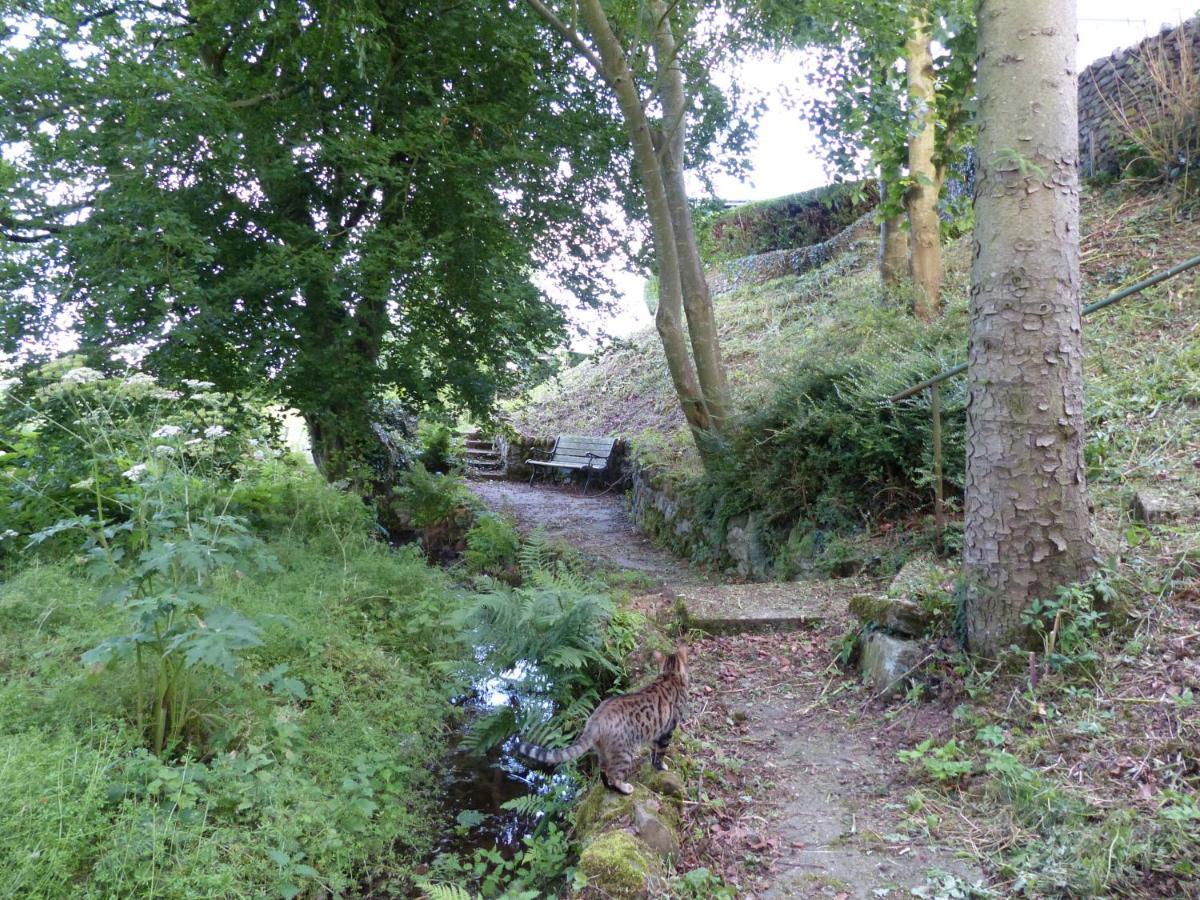 Relax In A 1 Bedroom Apartment Near A Country Pub Eyemouth Exterior foto